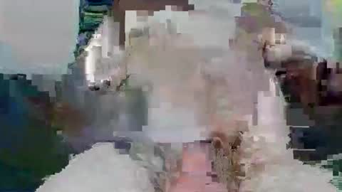 Snapshot of snakeyboy69 chatting on 11/26/25, 10:05 snakey boy online show from 11/26/25, 10:05