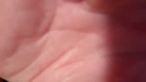 Snapshot of snooty05 chatting on 02/10/25, 10:51 Snooty online show from 02/10/25, 10:51