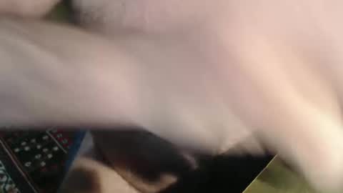 Snapshot of snudge432 chatting on 01/04/25, 04:22 snudge432 online show from 01/04/25, 04:22
