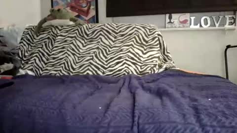 MicroAngelo online show from 11/02/25, 10:50