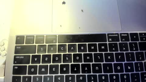 Snapshot of soff_honey chatting on 02/24/25, 12:30 soff_honey online show from 02/24/25, 12:30