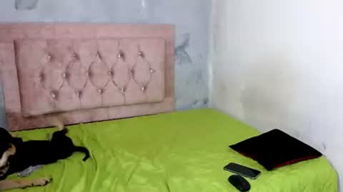 Snapshot of sofiadoll77 chatting on 02/08/25, 09:03 sofiadoll77 online show from 02/08/25, 09:03