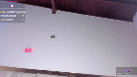 Snapshot of sofiscott_ chatting on 03/09/25, 10:41 Sofia online show from 03/09/25, 10:41