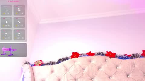 Snapshot of sophi_gray chatting on 12/20/24, 11:47 Shophi online show from 12/20/24, 11:47