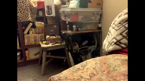 spermdoner23 online show from 11/10/25, 01:32