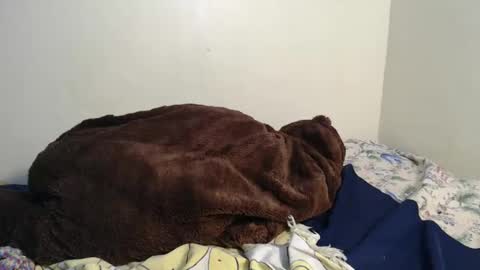 Snapshot of spice_queen chatting on 02/02/25, 03:43 dela online show from 02/02/25, 03:43