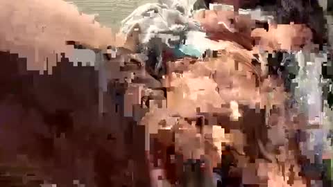 Snapshot of spicysam7901 chatting on 12/16/24, 07:32 Sammi online show from 12/16/24, 07:32