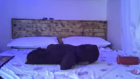 Snapshot of splasher_queen chatting on 10/25/25, 11:29 Splasher online show from 10/25/25, 11:29