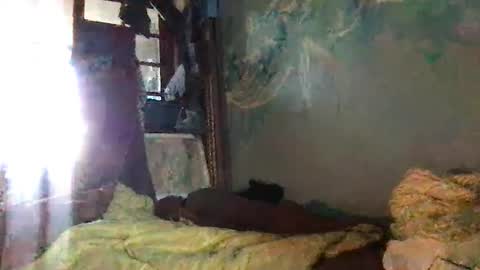 srekos38 online show from 10/07/25, 06:32