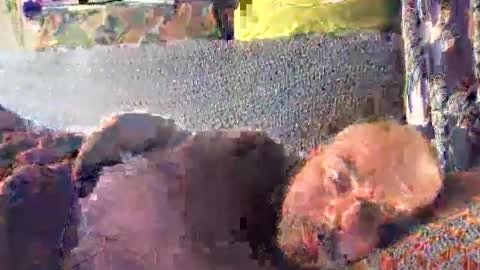 srekos38 online show from 10/10/25, 12:37