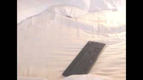 st8llion online show from 11/08/25, 02:12