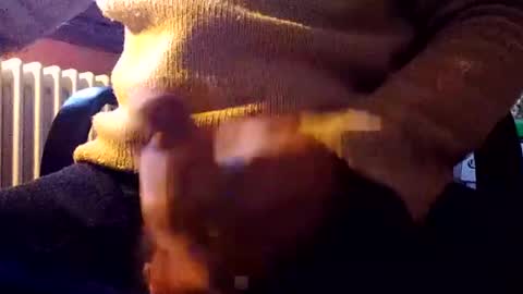 CIPPALIPPA online show from 12/31/24, 01:08