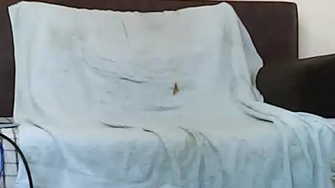 star0806666a online show from 11/06/25, 10:05