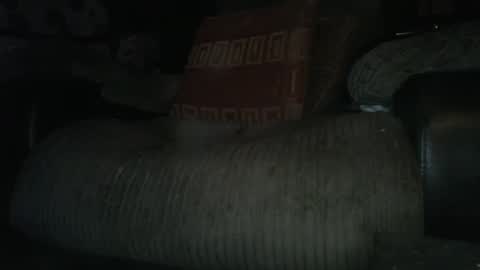 ste_wulf online show from 03/04/25, 01:34