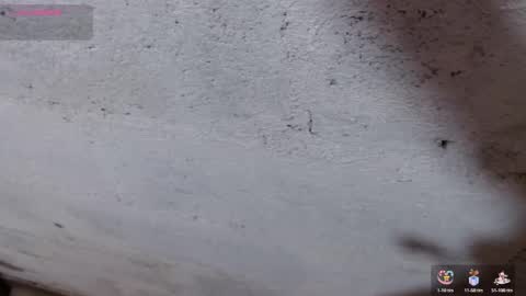 stefany_pablo1 online show from 11/01/25, 12:51