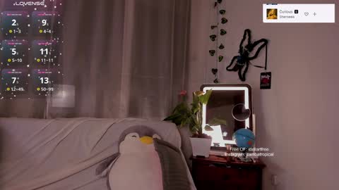 Snapshot of stellart_ chatting on 01/16/25, 04:17 stellart_ online show from 01/16/25, 04:17