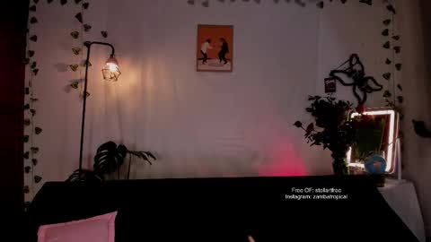 Snapshot of stellart_ chatting on 02/19/25, 02:55 stellart_ online show from 02/19/25, 02:55
