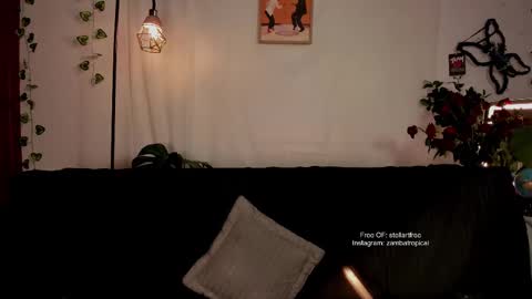 Snapshot of stellart_ chatting on 02/23/25, 02:29 stellart_ online show from 02/23/25, 02:29