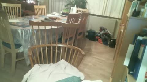 stellatrans12 online show from 12/02/24, 03:14