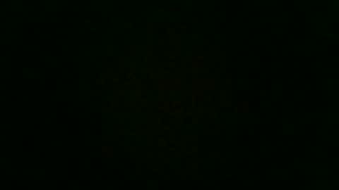 stensurfarn online show from 12/02/25, 12:43