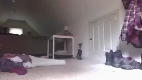 Snapshot of stevedevinrachel chatting on 10/13/25, 05:57 steve online show from 10/13/25, 05:57