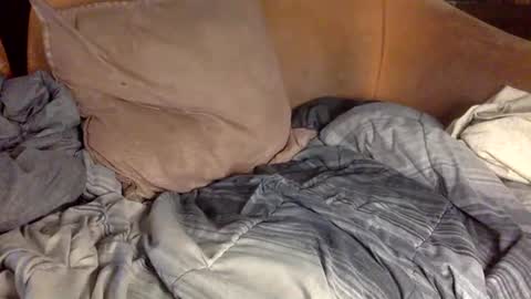 Snapshot of stevemason718 chatting on 02/20/25, 04:14 STEVE CASHMASTER 1comedia online show from 02/20/25, 04:14