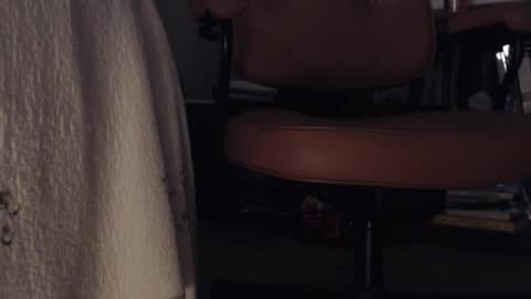 Snapshot of steviehello chatting on 11/29/25, 12:02 Skye online show from 11/29/25, 12:02