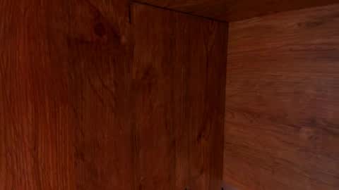 Stone Lee  online show from 02/23/25, 09:55