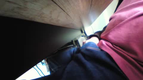 shrek online show from 11/17/25, 11:54