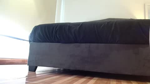 stormy  carter online show from 11/04/25, 12:15