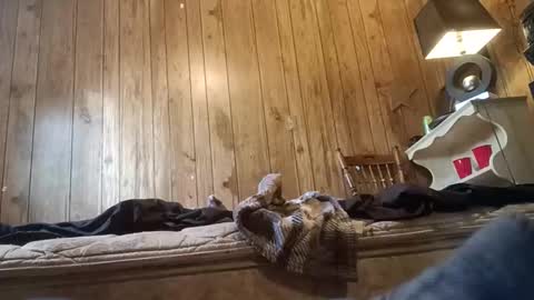 Snapshot of straighttoy chatting on 11/03/25, 03:24 straighttoy online show from 11/03/25, 03:24