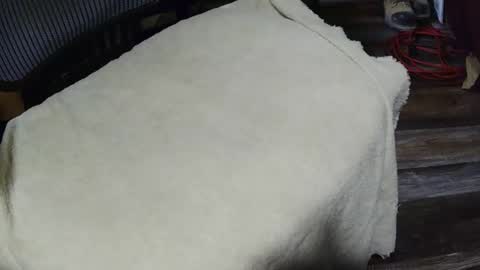 strokingmymeat336 online show from 11/11/25, 03:34