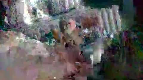 Snapshot of stud_1975 chatting on 03/02/25, 08:05 stud_1975 online show from 03/02/25, 08:05