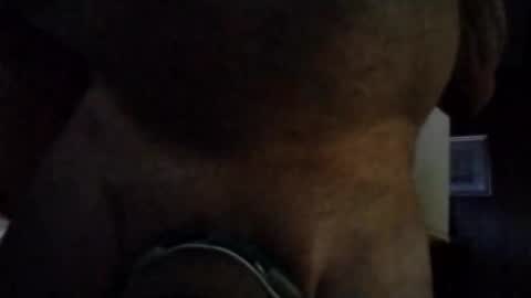 stuffamuffagus69 online show from 11/16/25, 01:00