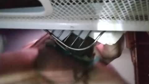 stuffamuffagus69 online show from 11/18/25, 01:11