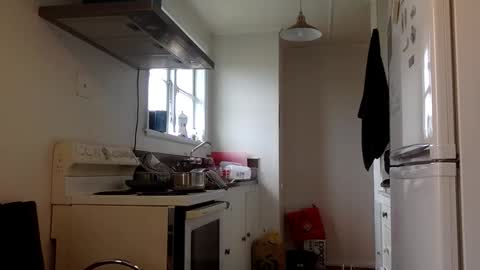 stugo1964 online show from 09/24/25, 03:43