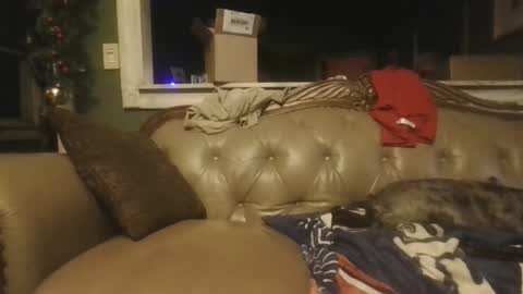 Snapshot of sub_michael41 chatting on 12/21/24, 06:52 sub_michael41 online show from 12/21/24, 06:52