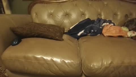 Snapshot of sub_michael41 chatting on 01/21/25, 05:05 sub_michael41 online show from 01/21/25, 05:05