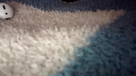 Snapshot of sunflowerxo chatting on 09/09/25, 04:56 Sofie online show from 09/09/25, 04:56