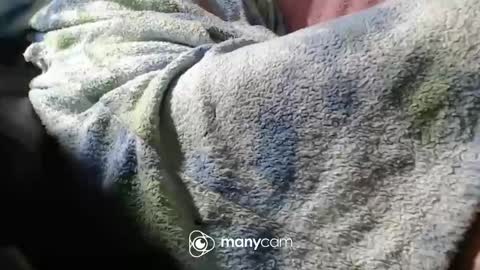 sven online show from 11/06/25, 07:04