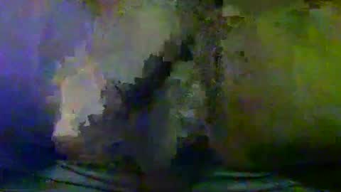 Snapshot of sunnyjohn447 chatting on 09/25/25, 10:52 Sunnyblack2 online show from 09/25/25, 10:52