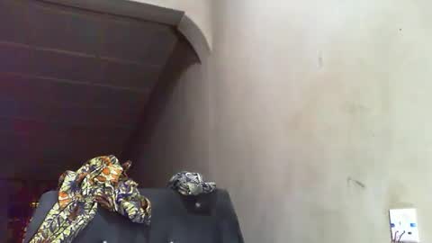 Snapshot of sunnyjohn447 chatting on 11/18/25, 09:47 Sunnyblack2 online show from 11/18/25, 09:47