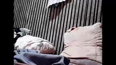 superclit4u online show from 11/11/25, 08:03