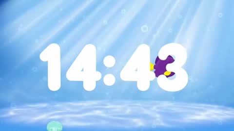 Susan online show from 11/13/25, 02:32