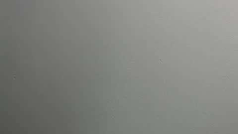 sussy leon online show from 01/28/25, 12:11