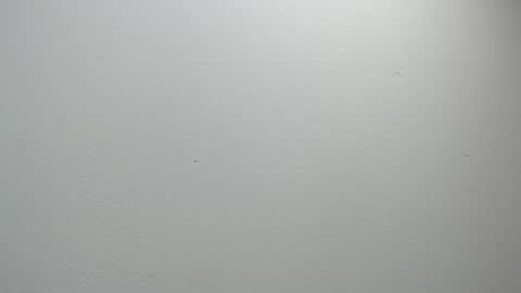 sussy leon online show from 02/11/25, 12:05