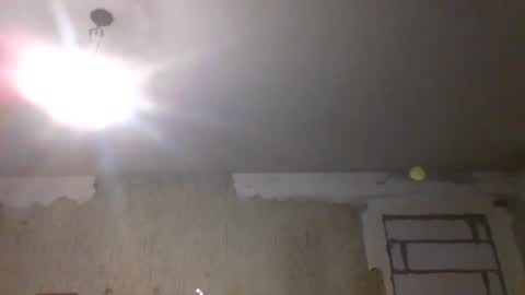 Snapshot of svetifox chatting on 01/19/25, 12:17 Sveti online show from 01/19/25, 12:17