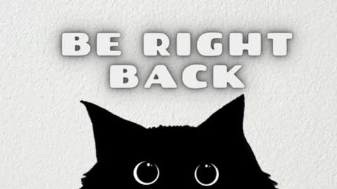       Independent model online show from 01/23/25, 03:37