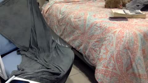 WeAim2PZzz online show from 02/20/25, 11:43