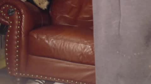 Snapshot of swolebbc chatting on 03/09/25, 04:05 The DickGod online show from 03/09/25, 04:05